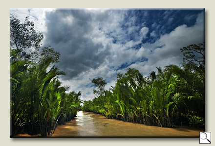 Mekong Delta