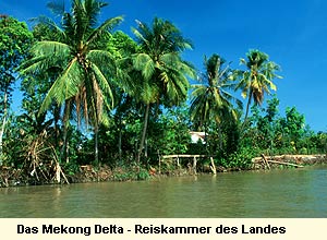 Das Mekong Delta - Reiskammer des Landes