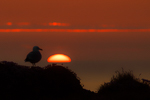 End of the day