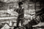 Forest worker