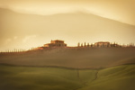 Golden Morning Light