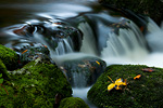 Herbst an der kleinen Ohe