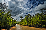 Mekong Delta