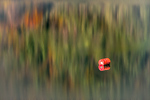 Reflections