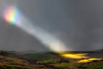 Spotlight