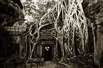 Ta Prohm