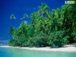 Palmenstrand auf Cook Island
