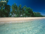 Palmenstrand auf Fiji