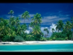 Palmenstrand auf One Foot Island