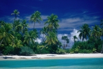 Palmenstrand auf One Foot Island